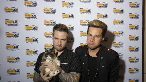 Article: Grumpy Cat, Ryan Cabrera And Blake Lewis Teamed Up For Friskies’ #CatConcoctions Event At SXSW!