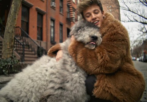 Article: Prepare To Swoon! Cameron Dallas Goes Around The City That Never Sleeps With Vogue! Watch Here!