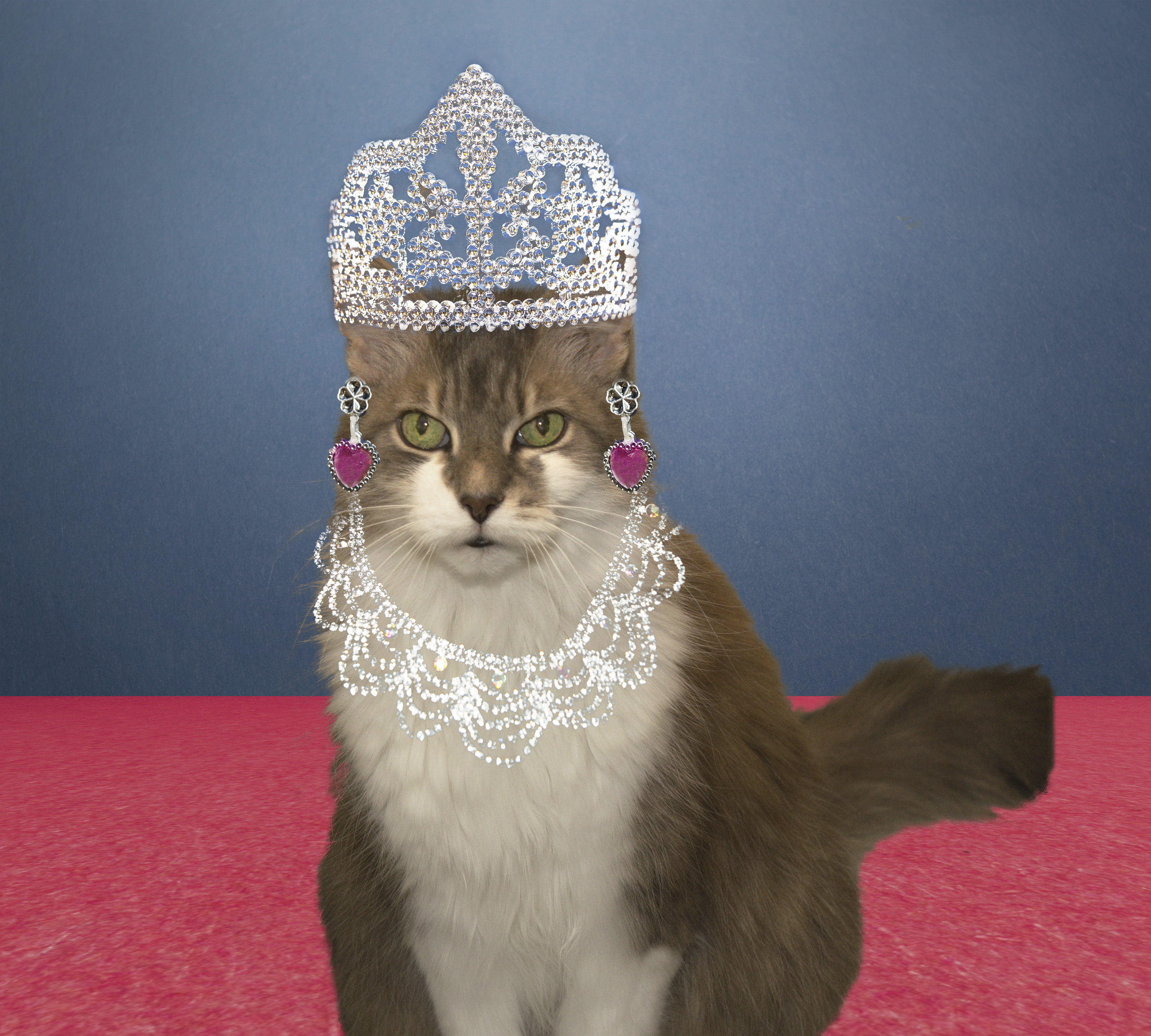 Article: You Have To See Cat Sensation, Sabrina Pound’s Glamorous Photo From The Golden Globes!