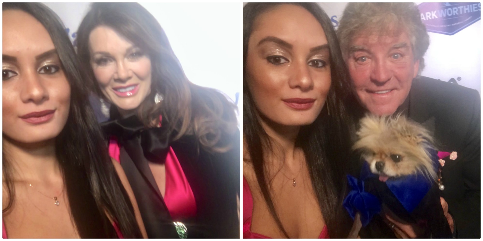 VIPAccessEXCLUSIVE: Lisa Vanderpump And Ken Todd Interview With Alexisjoyvipaccess At The 3rd Annual Vanderpump Dog Foundation Gala!