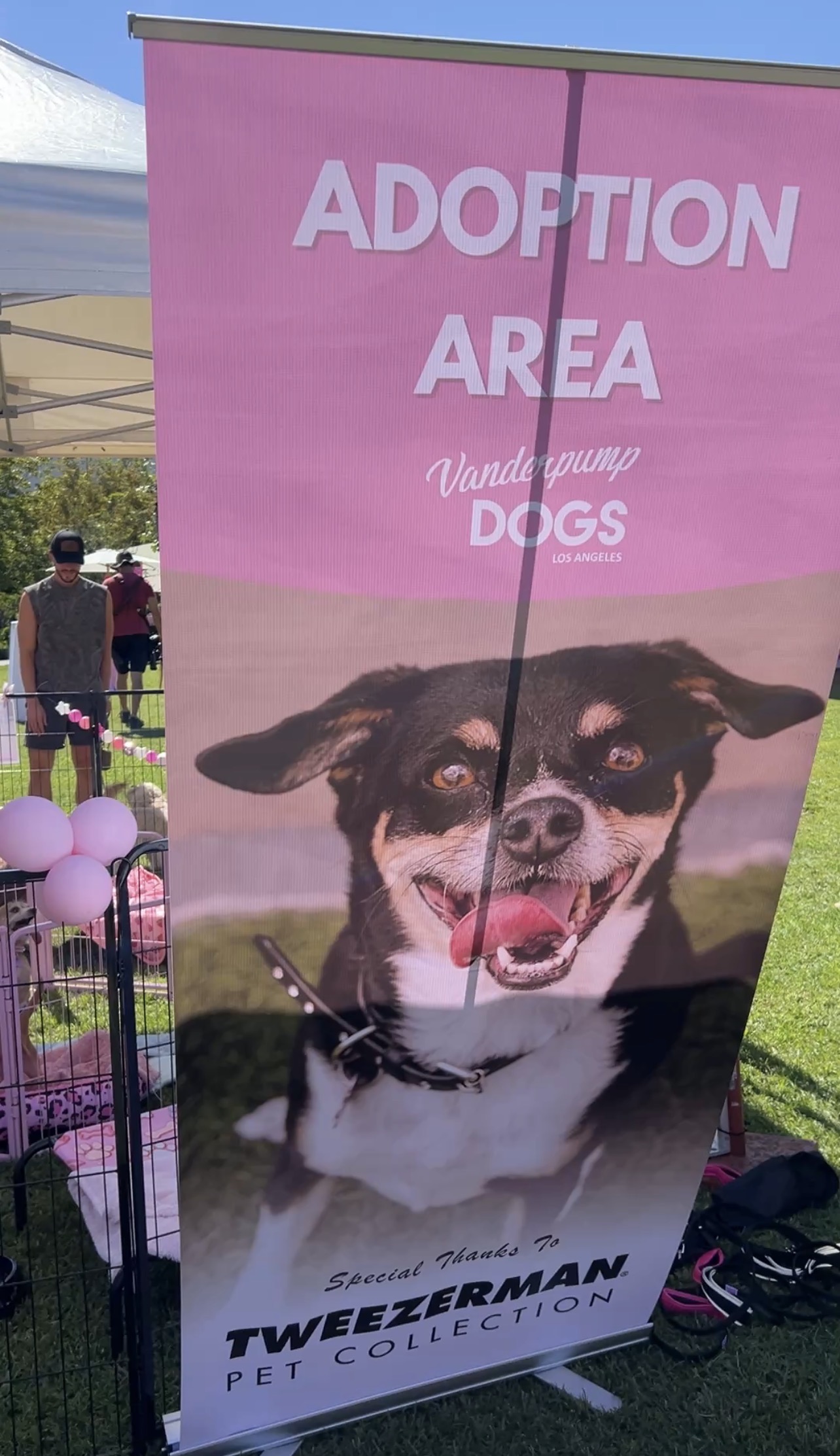 VIPAccessEXCLUSIVE: A Whole Lot Of Puppy Love! Lisa Vanderpump, Vanderpump Rules’ Tom Schwartz, Jason Cohen, and More Celebrate The Vanderpump Dog Foundation’s 9th Annual World Dog Day — Recap!